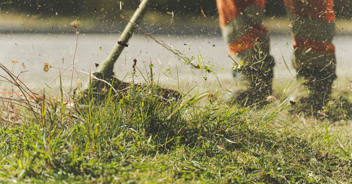 Lawn being mowed in a Campbelltown backyard, South West Sydney