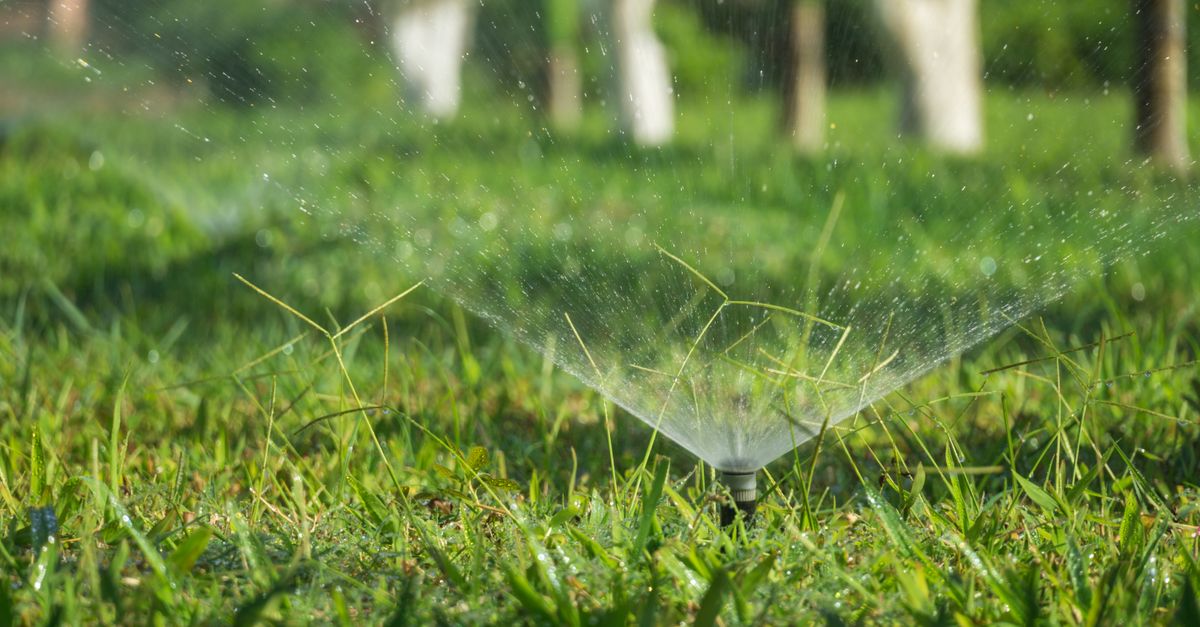 Sprinkler watering a green lawn deeply in South West Sydney
