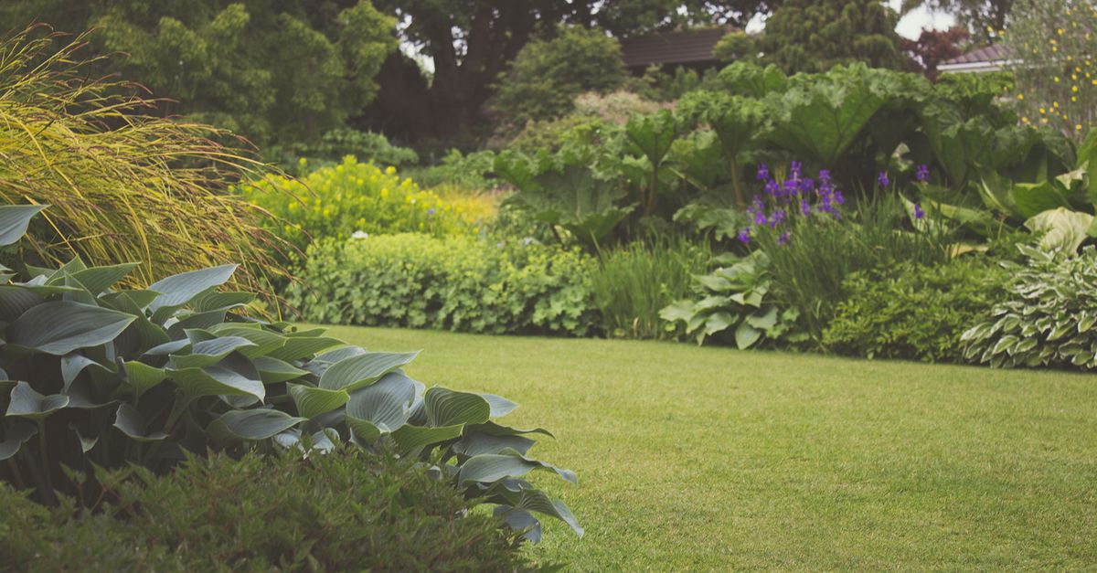 Landscaped backyard garden with healthy lawn in Campbelltown, South West Sydney