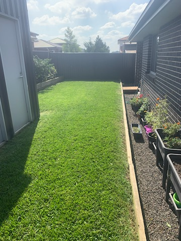 New estate backyard lawn mowing South West Sydney