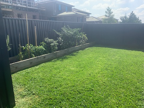 Backyard lawn mowing and edging Camden area