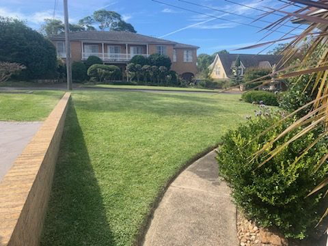 Lawn mowing and edging front garden South West Sydney