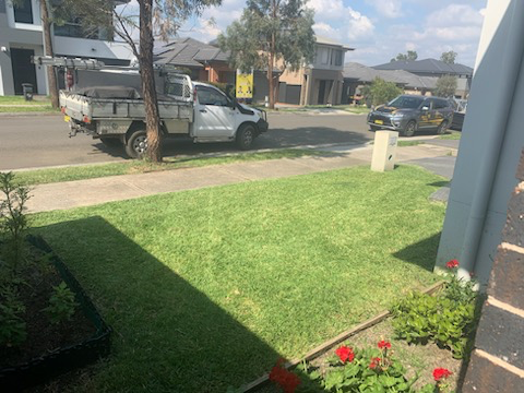Nature strip lawn mowing Oran Park new estate