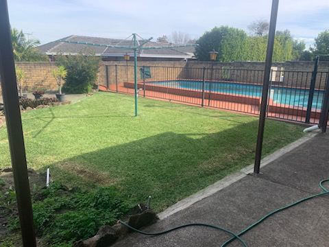 Backyard lawn mowing pool area Gregory Hills